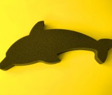 Delfino Nero