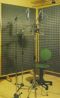 Struttura acustica Fonology